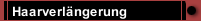 Haarverl&auml;ngerung